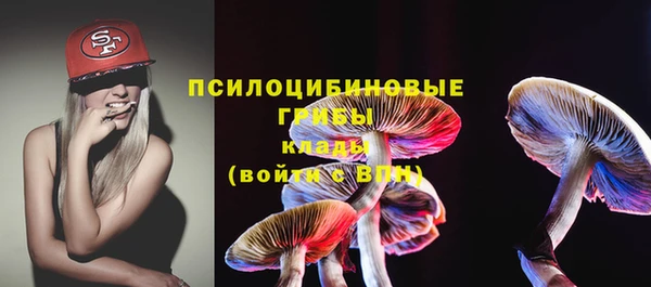 твердый Балахна