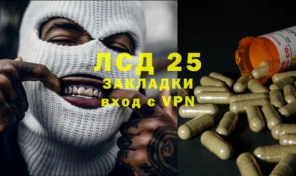 ПСИЛОЦИБИНОВЫЕ ГРИБЫ Армянск