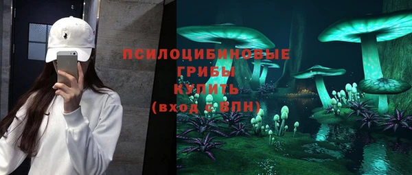 прущая мука Арсеньев